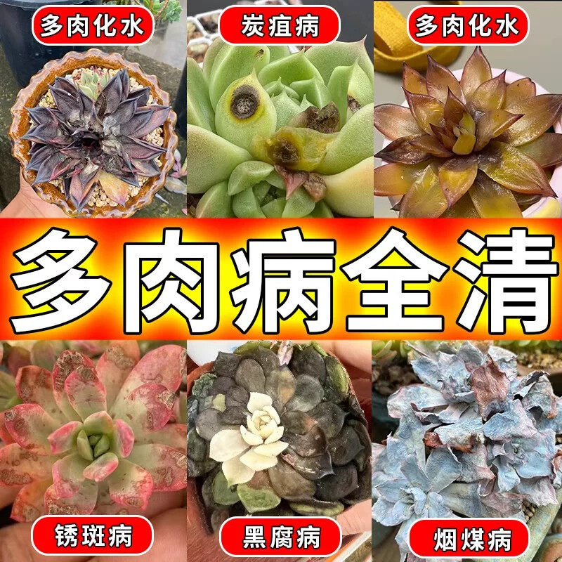多肉白粉黑斑病专用杀菌植物通用无机肥