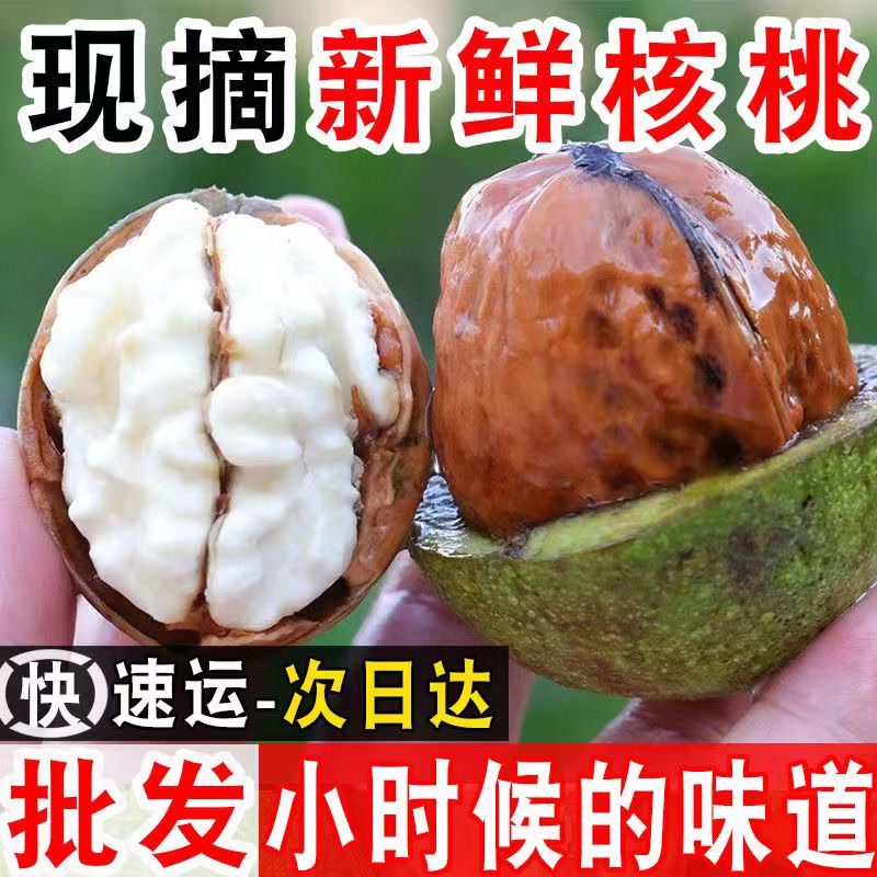 【首单立减】核桃新鲜湿核桃生核桃去青皮鲜核桃新鲜薄皮胡桃黑桃