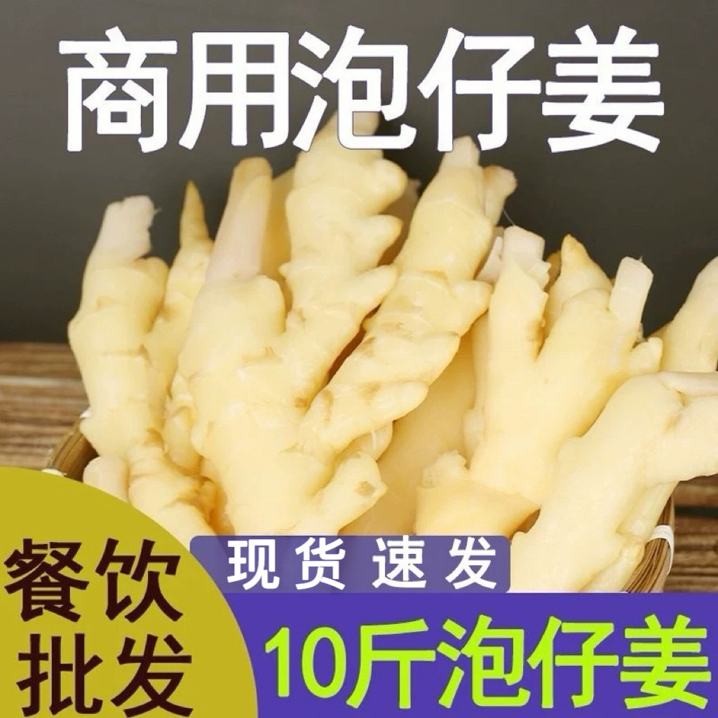 泡仔姜商用四川泡子姜嫩姜竹根姜腌制/榨菜/泡菜