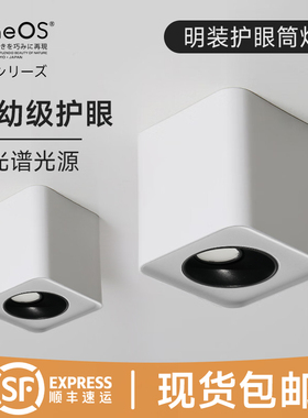 日本遨视99高显护眼四头明装筒灯可调角度全光谱灯天花桶灯小山丘