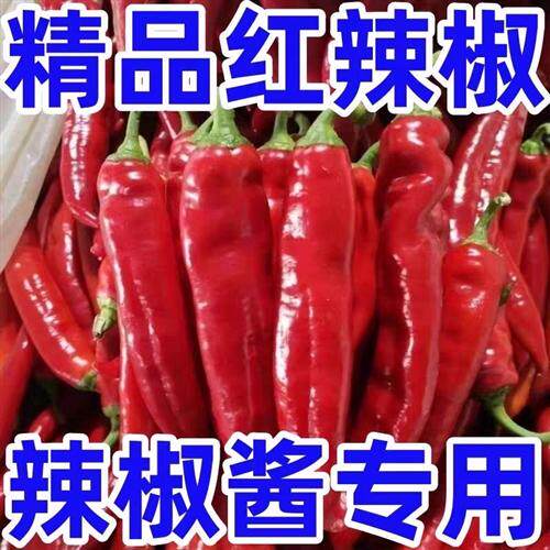 微辣纯红做辣椒酱专用农家自种大红尖椒鲜红泡椒农村土红辣椒新鲜