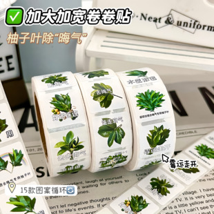 露思同款柚子叶卷卷贴ins高颜值创意贴画手账diy素材手机壳装饰