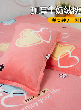 牛奶绒枕套一对装48cmx74cm男秋冬季单个人加厚珊瑚绒枕头芯套巾2