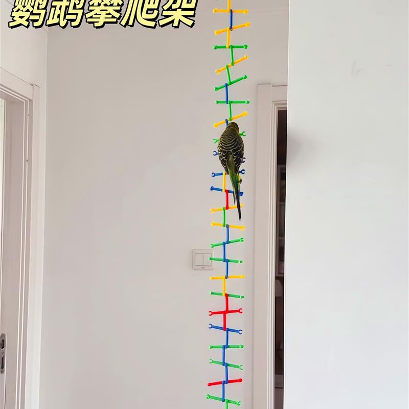 鹦鹉DIY落地攀爬架防抑郁