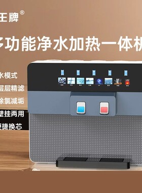 廾王牌家用净水器直饮加热一体机