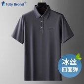 中年商务休闲短袖 高端冰丝薄款 上衣 夏季 2025新款 polo衫 t恤男士