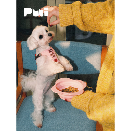 puui原创花开系列宠物折叠碗外出便携式宠物碗猫碗喝水零食遛狗碗