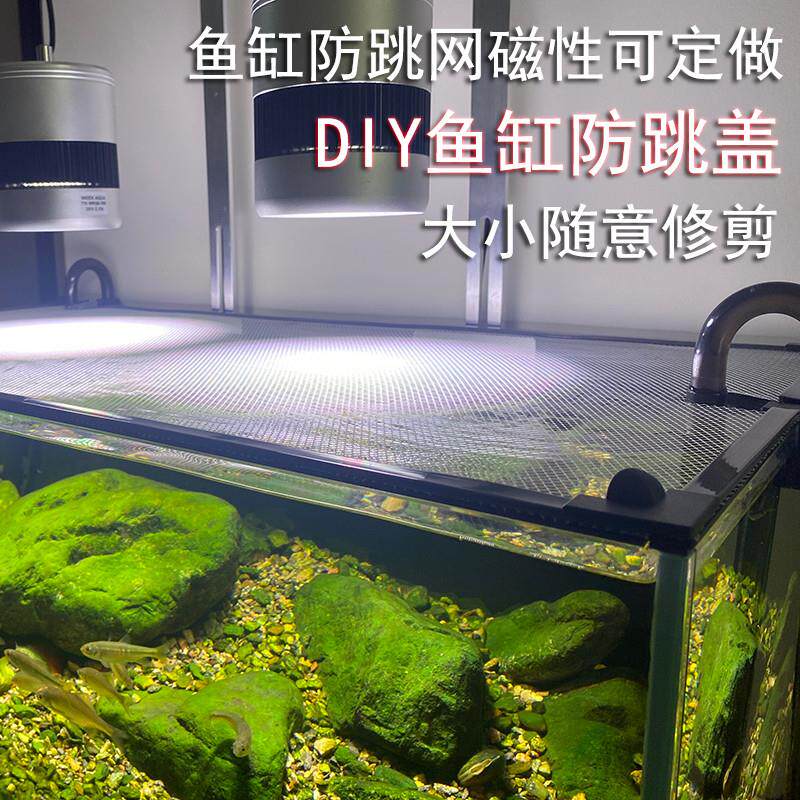 鱼缸防跳网磁性磁铁放跳缸鱼缸防逃网盖雷龙防跳网乌龟防逃爬虫盖