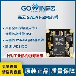 高云FPGA开发板GW5AT60/MIPI CPHY/DPHY/DDR3/SERDES视觉显示领域