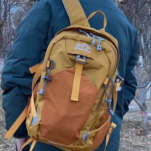 出口美国外贸小号户外登山旅行包