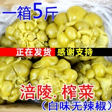 新鲜涪陵榨菜 白味榨菜头无辣椒5斤箱装包邮 下饭菜泡菜不辣早餐