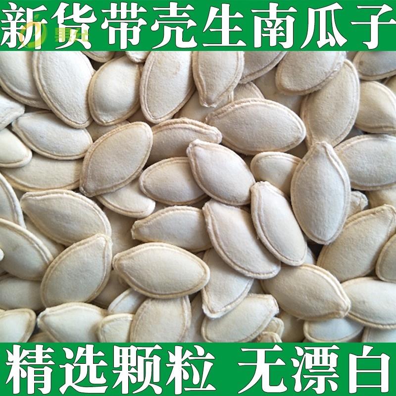 内蒙古特产带壳南爪子原味生的