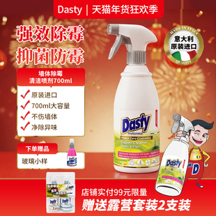 意大利进口墙体除霉剂白墙去霉发霉清除防霉斑霉菌房间地砖清洁剂