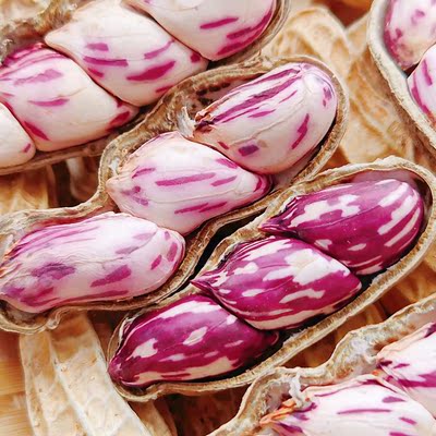 【不带泥】2025新鲜湿花生七彩花生奶油味水果花生牛奶五彩花生