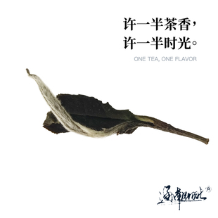 2023二级牡丹通南彻北