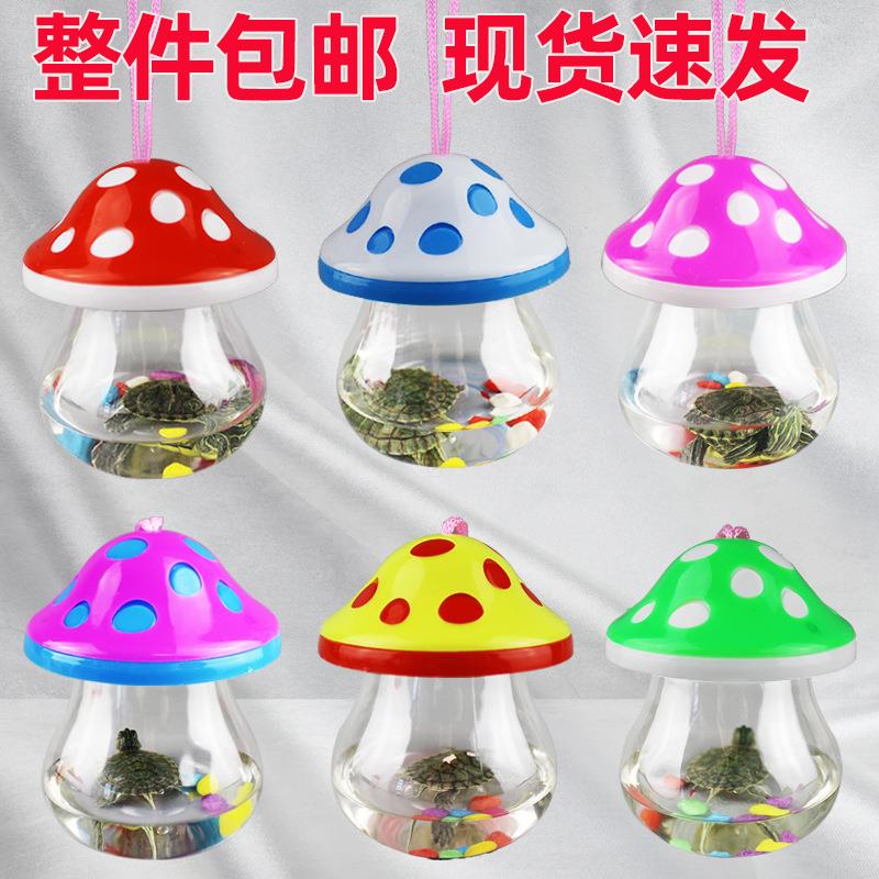 儿童玩具QQ杯透明塑料鱼缸摆摊迷你蘑菇鱼缸手提乌龟盒小鱼瓶龟瓶