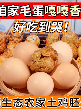 壳逸40枚毛鸡蛋18天有毛全毛毛鸡蛋麻辣毛蛋鸡仔蛋熟开袋即食大毛