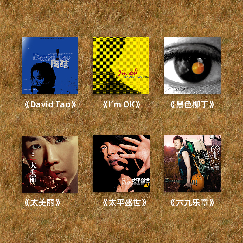 正版 陶喆专辑全集 David Tao  Im OK 黑色柳丁 CD唱片车载碟片