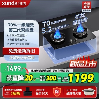 迅达灶具煤气灶家用双灶天然气猛火燃气灶液化气灶台D1