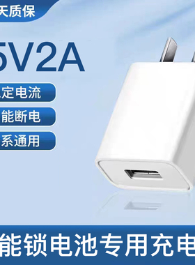 指纹锁电池专用充电器套装5V2A智能锁专用micro/Tpye-c接口数据线
