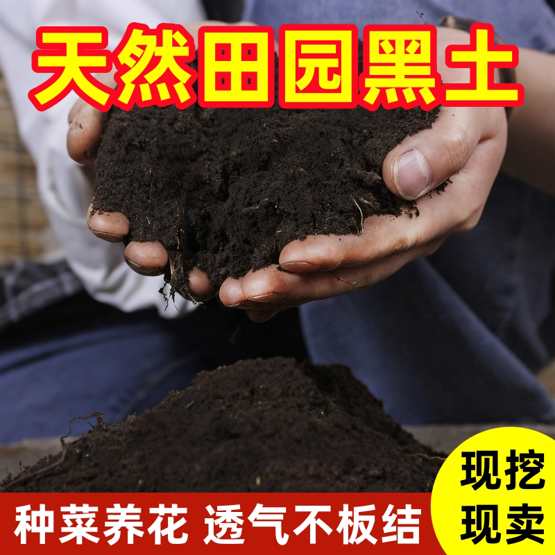 优质田园黑土花卉专用种植土黄土