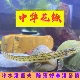 水宠原生鱼中华沙花鳅淡清道夫观赏鱼翻砂工具鱼冷水鱼观赏鱼清理