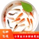 草金鱼红草金红锦鲫冷水好养易活冷水鱼淡水鱼小型鱼小金鱼观赏鱼