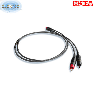 信号线奥特诗AU24SXRCA信号线