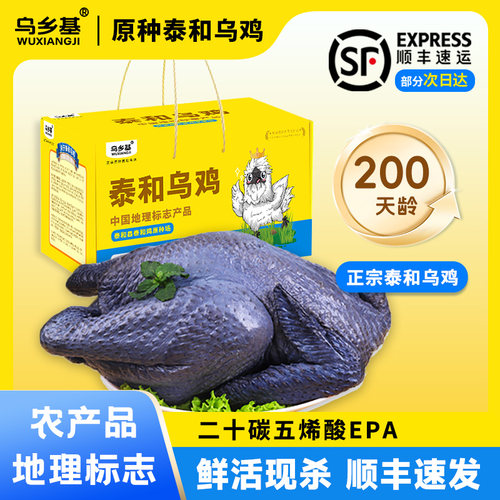 正宗泰和乌鸡散养成年鸡