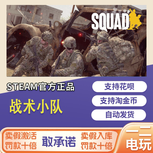 steam战术小队中国区激活码cdkey