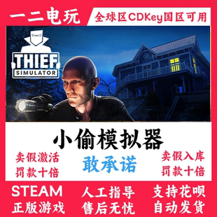 小偷模拟器正版steam游戏cdkey国区全球区Thief Simulator