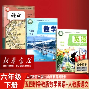 【新华书店正版】五四制初中6六年级下册数学英语鲁教版语文人教版课本人民教育出版社54制教材六年级语文数学英语山东教育出版社