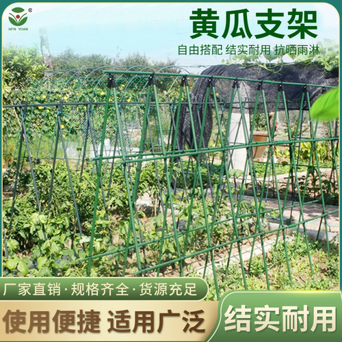 种菜专用支架黄瓜豆角爬藤架