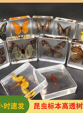 GN硅宁昆虫形树脂胶AB水晶滴胶手工DIY材料包标本模具蝴蝶干花