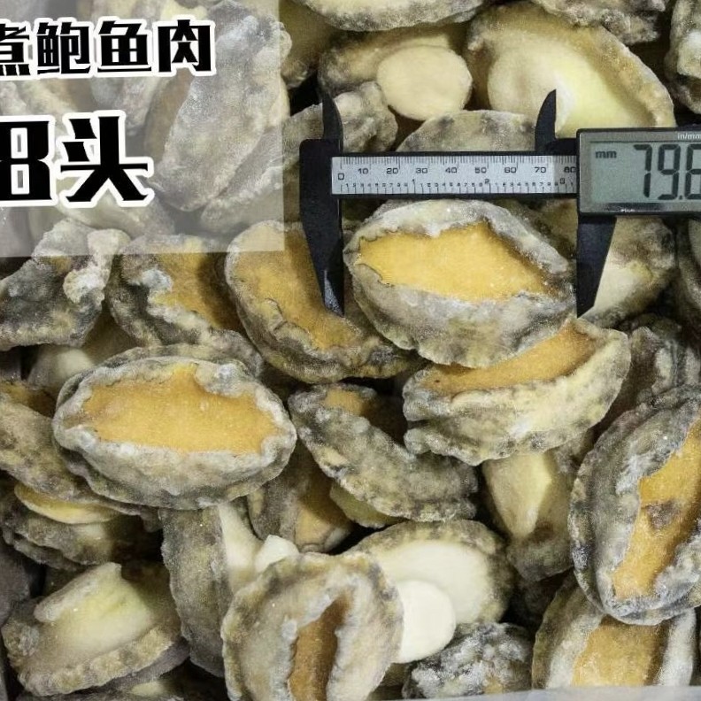 冻煮鲍鱼肉8头-150头500g冷冻去壳去牙鲍鱼肉火锅烧烤煲汤食材