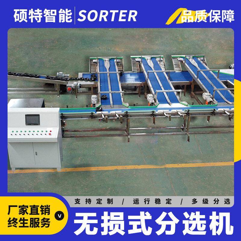 水果葡萄无损式分级机呵护式苹果选果机番石榴大小果分选机