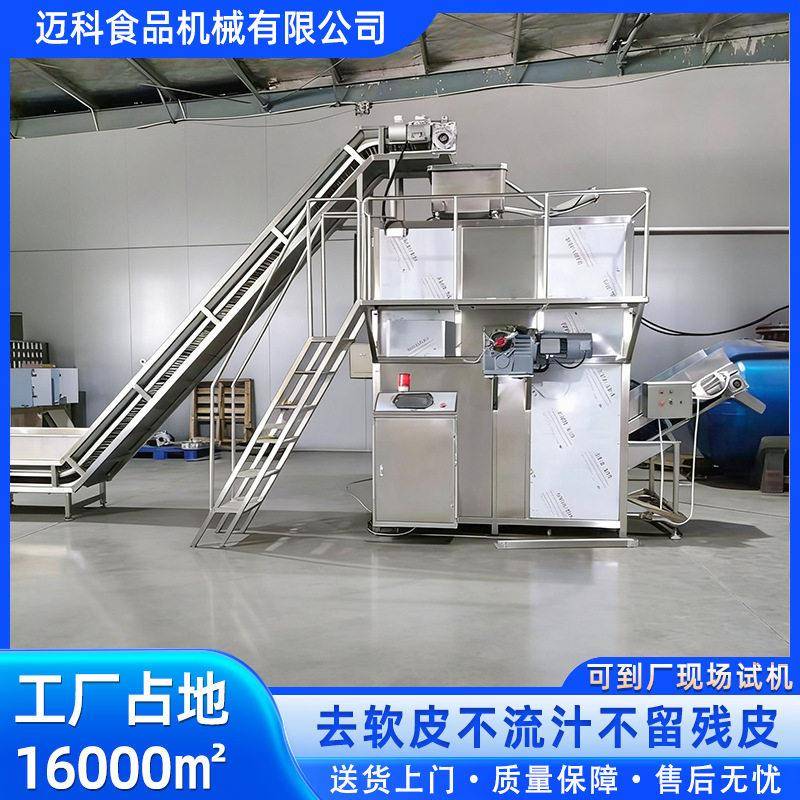 辣椒莲藕蒸汽去皮机全自动葡萄头水果头加工线去皮设备