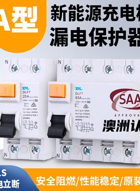 SAA认证A型漏电保护器 25A40A 电磁式漏保2P 4P 新能源充电桩开关