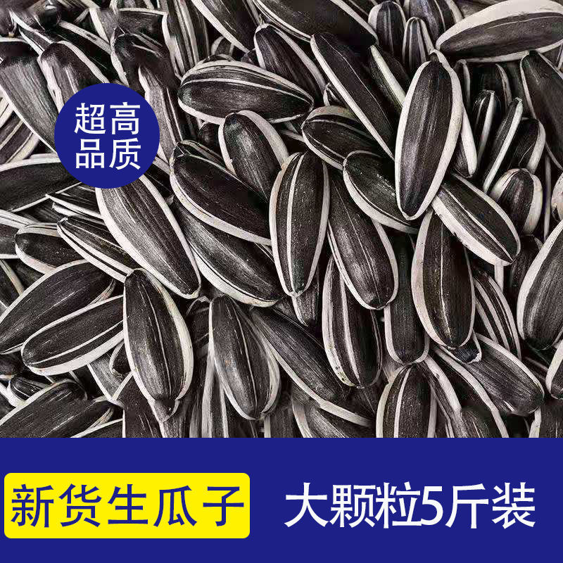 原味瓜子生瓜子葵花籽新貨現炒熟