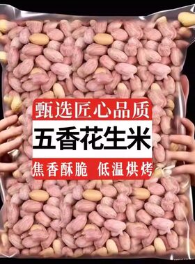 山东五香蒜香多味烘烤花生米新货