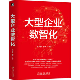 大型企业数智化王文京//郭倩|9787111787594机械工业书籍\/杂志\/报纸/管理/企业管理