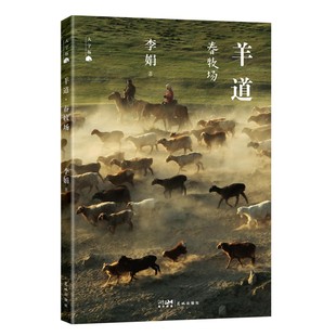 羊道春牧场（大字版）李娟9787574900776花城书籍\/杂志\/报纸/文学/中国近代随笔
