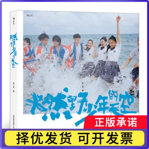 燃野少年的天空张一白9787505752719中国友谊书籍\/杂志\/报纸/艺术/电影/电视艺术