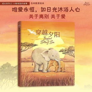 莎拉·多德 责编 绘画 精装 西·斯科9787572913372天津人美 董海雅 英 译者 穿越夕阳 田殿卿