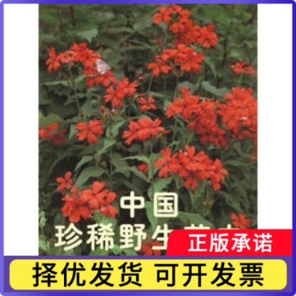 中国珍稀野生花卉:[图集]:2刘初钿主编9787503823060中国林业出版社书籍\/杂志\/报纸/工业/农业技术/建筑/水利（新）