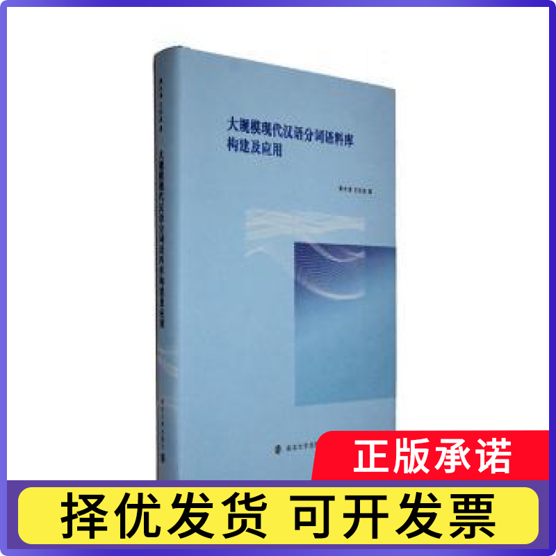 大规模现代汉语分词语料库构建及应用黄水清，王东波著9787305271489南京大学出版社