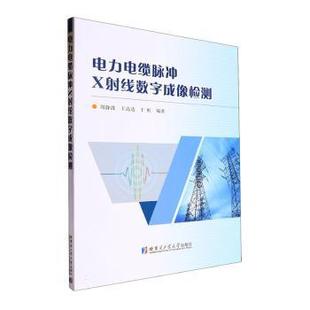 社 于虹编著9787576708349哈尔滨工业大学出版 电力电缆脉冲X线数字成像检测周静波 王达达