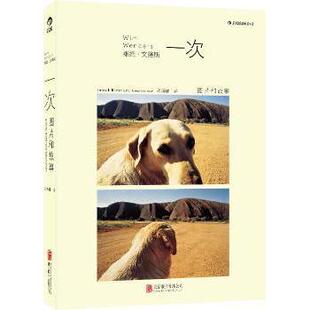 Und Geschichten维姆·文德斯 9787550225169北京联合出版 图片和故事 公司 著 Bilder Wenders 一次 Wim