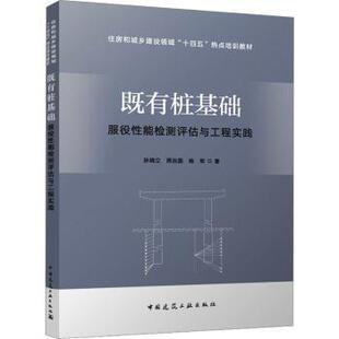 既有桩基础服役能检测评估与工程实践孙晓立,周治国,杨军 著9787112310890中国建筑工业出版社