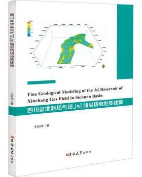 四川盆地新场气田Js22储层精细地质建模王权锋9787569273571吉林大学出版社书籍\/杂志\/报纸/儿童读物/童书/儿童文学